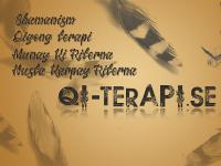 Qi-terapi.se