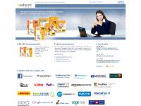 Internet business solutions & b2c e-commerce development