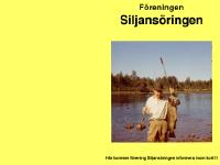 liten raddasiljansoringen.se skärmbild liten raddasiljansoringen.se skärmbild