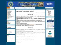 liten radiostyrdbilsport.nu skärmbild liten radiostyrdbilsport.nu skärmbild