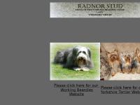 Radnor-Stud