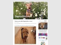 Ragamuffinn.co.uk
