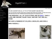 ragdollcats1.com Ragdoll Cats, phoenix, arizona