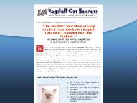  cat care tips, ragdoll kitten, ragdoll cat training