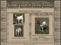 Show Wethers For Sale Texas - Boer Goats For Sale - Welcome to Rambo Ranch Where your next Champion is being Born!