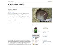 ratsmakegreatpets.com pet rats, fancy rats, agouti