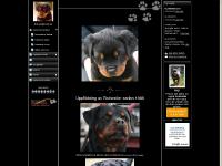 Vinstrika Tikar, Min gästbok, Våra Hästar, Motocross & Enduro Vinstrika Tikar, Min gästbok, Våra Hästar, Motocross & Enduro