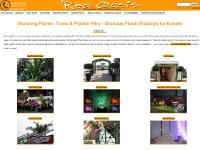  Hire Bamboo, Wedding Florists, Birch trees, Wedding arches