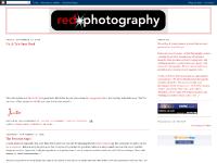  Engagement, Portraits, Wedding, The Sweetest Angel