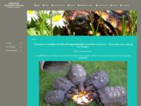 liten redfoottortoise.se skärmbild