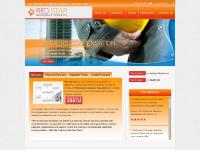 RED STAR INSURANCE SERVICES RED STAR INSURANCE SERVICES