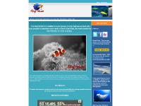 The Reef-World Foundation