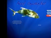 Reef Encounter