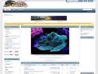 Reef Sanctuary Reef Sanctuary