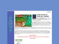 Scuba Diving Playa Del Carmen, Cozumel, Cenote Diving,Dive Center