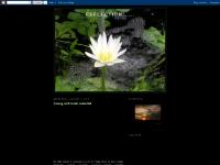  Extended family gathering, 11:23 PM, 0 comments, Congratulations