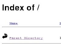 Index of /