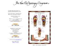 The New Reflexology Diagram The New Reflexology Diagram