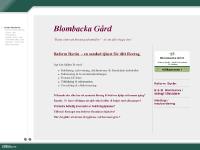 liten reformbyran.se skärmbild