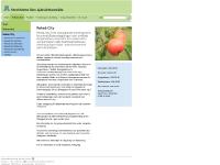 liten rehabcity.se skärmbild