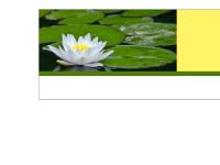 statistik för reikiyoga - reikiyoga.se statistik för reikiyoga - reikiyoga.se