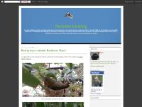 0 comments, 11:13 PM, 0 comments, Bald Eagles at their nests 0 comments, 11:13 PM, 0 comments, Bald Eagles at their nests