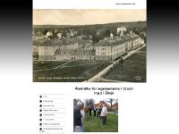 repgubbar.se F repgubbar.se F