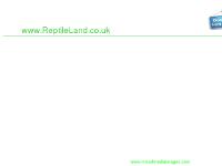 reptileland.co.uk