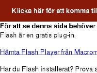 liten rescuerunner.com skärmbild liten rescuerunner.com skärmbild