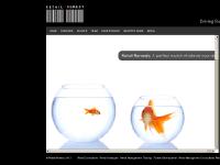 Case Studies, Strategy & Planning, Marketing & Branding, Store Operations Case Studies, Strategy & Planning, Marketing & Branding, Store Operations