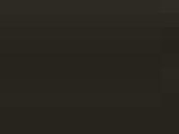 matti almsenius, martin karlsson, conny pettersson, tobias gustafsson matti almsenius, martin karlsson, conny pettersson, tobias gustafsson