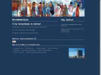 liten revisorspoolen.se skärmbild liten revisorspoolen.se skärmbild