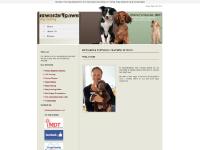 Rewards 4 Paws Dog Training School