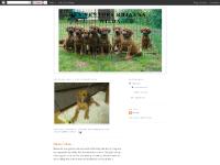 rexventorsrhianna.blogspot.com 0 kommentarer, Första veckan..., 2 kommentarer rexventorsrhianna.blogspot.com 0 kommentarer, Första veckan..., 2 kommentarer