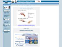 wireless, intraoral, digital microscope, doctor's station wireless, intraoral, digital microscope, doctor's station