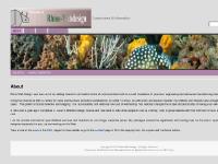 Rhino Web Design -Low cost web site design, Build & hosting