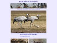 Natural History Photography by Richard Smart