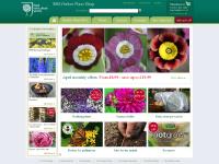 RHS Garden Plants