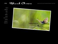 liten rikard-olsson.se skärmbild liten rikard-olsson.se skärmbild