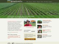 Albuquerque Maize Maze, Community Garden, and Education