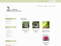  Robild, Journalist, Frilansjournalist, Nyhetsbrev