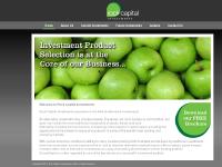 rockcapitalinvestments.co.uk rockcapitalinvestments.co.uk