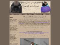 roislis.com Kaninene, Fuglene, Kull roislis.com Kaninene, Fuglene, Kull