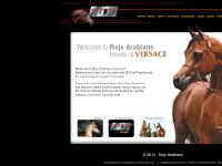 rojoarabians.com Versace, Rojo Arabians, Arabian horses