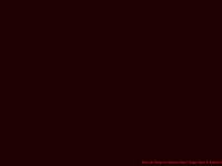Tango Show Buenos Aires  Rojo Tango Faena Hotel Universe