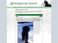 ronningstorp.se Startsida, Om Rönningstorp, Våra hundar ronningstorp.se Startsida, Om Rönningstorp, Våra hundar