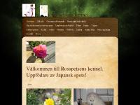 Rasen,glad och vänlig, Hur myket motion kräver rasen, Uppfostran Rasen,glad och vänlig, Hur myket motion kräver rasen, Uppfostran