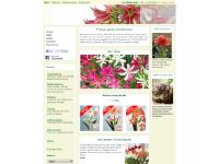 Nederlands, Large flowering, Double flowering, Miniature Nederlands, Large flowering, Double flowering, Miniature