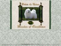 royalcotondetulearbreeders.com