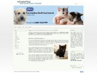 rspca-lincsnortheast.org.uk rspca, lincolnshire north east, grimsby rspca-lincsnortheast.org.uk rspca, lincolnshire north east, grimsby